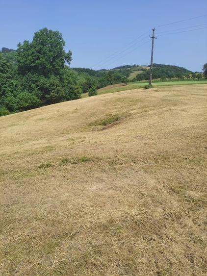Teren agricol intravilan de 60000 mp, în Copalnic-Mănăștur