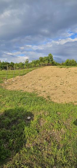Teren de 2700 mp, în Tălmaciu