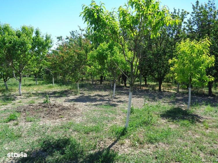 Casă cu 3 camere în Turnu