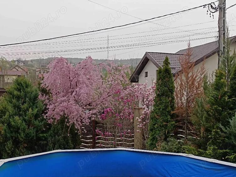 Casă cu Teren 500 Mp în Bârnova