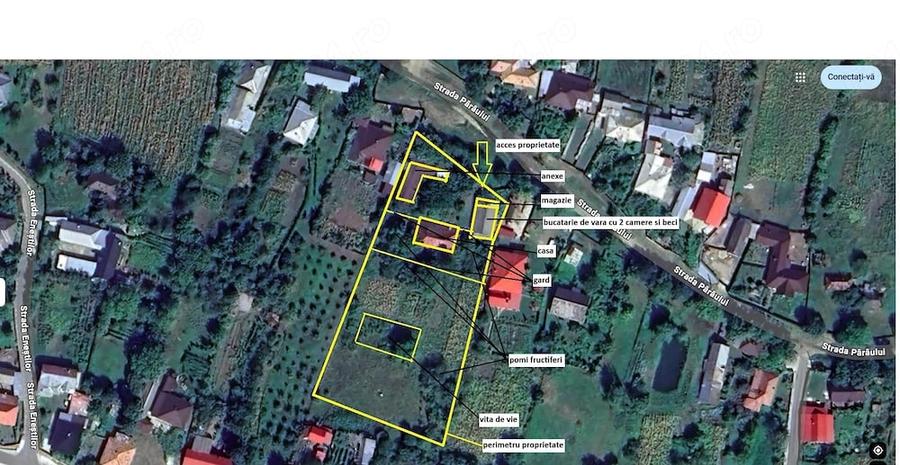 Casă cu 3 camere cu Teren 4650 Mp în Valea Arinilor
