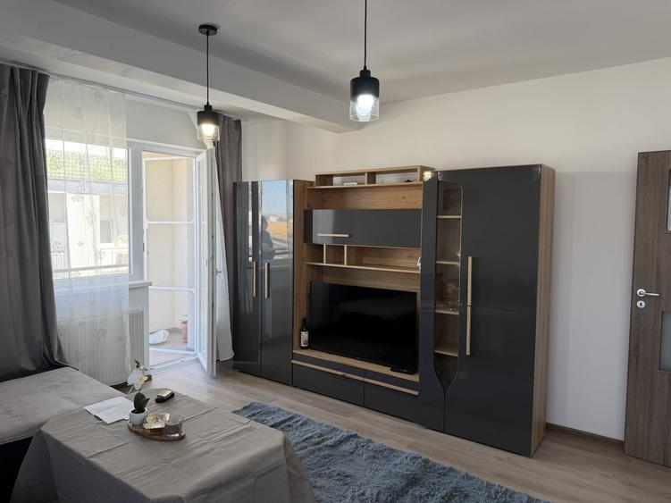 Apartament cu 2 camere nedecomandat, mobilat în Turnișor