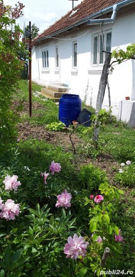 Casă cu 2 camere în Central