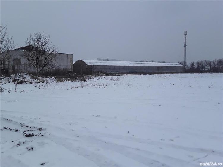 Teren de 7800 mp, în Central