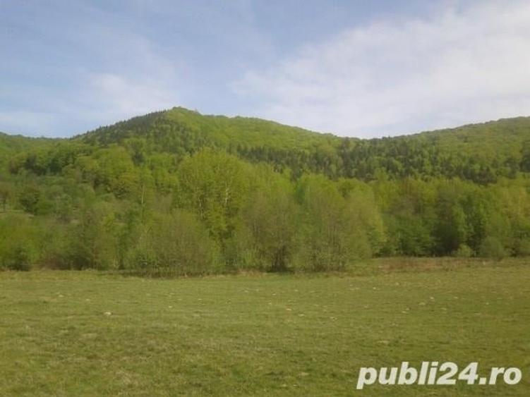 Teren de 1900 mp, în Sud