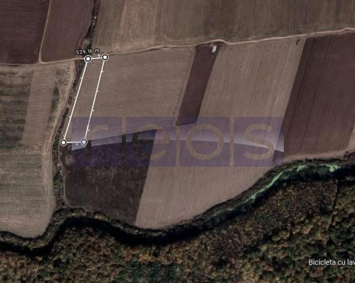Teren Construcții intravilan de 7109 mp, în Tâncăbești