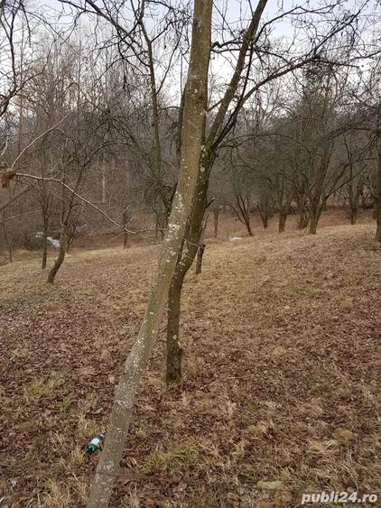 Teren de 1700 mp, în Olănești