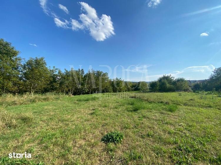 Teren de 7681 mp, în Borhanci