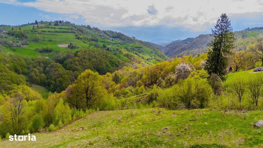 Teren de 18537 mp, în Poiana Mărului