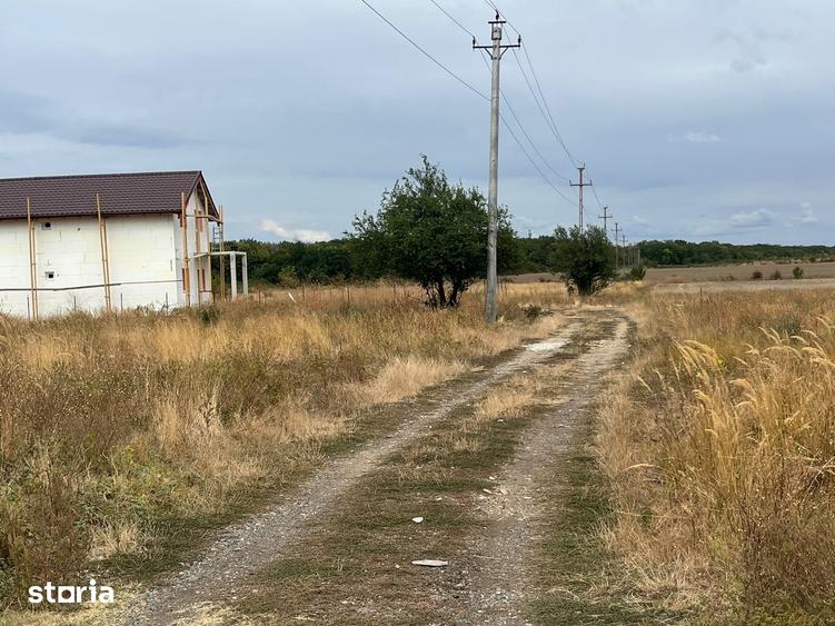 Teren de 6100 mp, în Cârcea