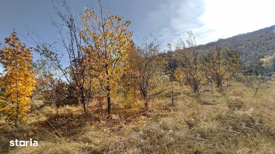 Teren de 660 mp, în Bunloc