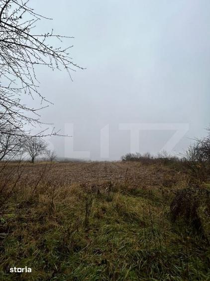 Teren de 7200 mp, în Frătăuții Vechi