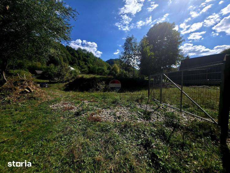 Teren de 1113 mp, în Tarcău