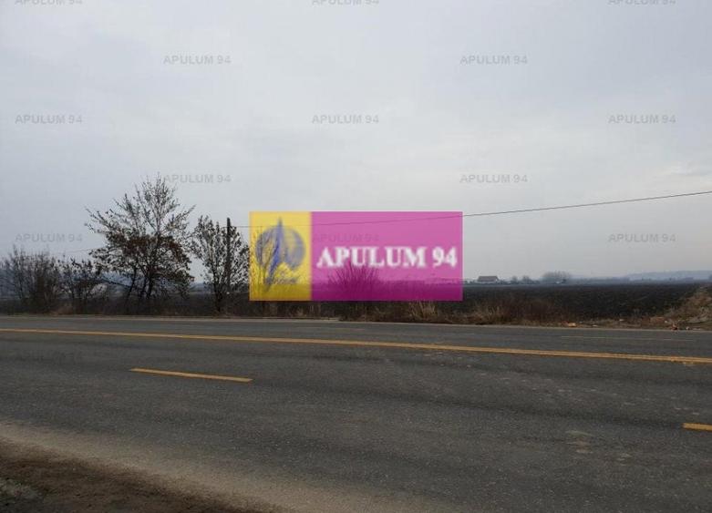 Teren Construcții intravilan de 13705 mp, în 1 Decembrie