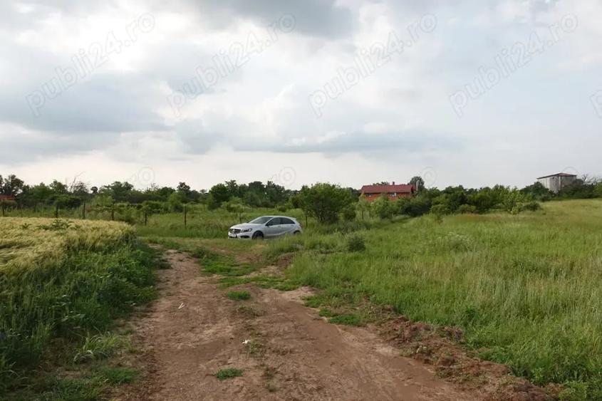 Teren de 10100 mp, în Tâncăbești