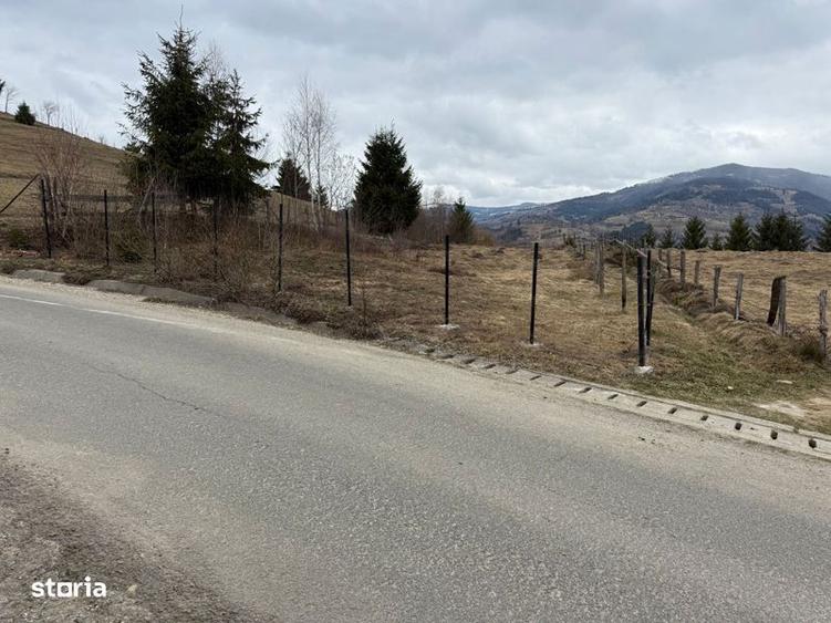 Teren de 1700 mp, în Albac