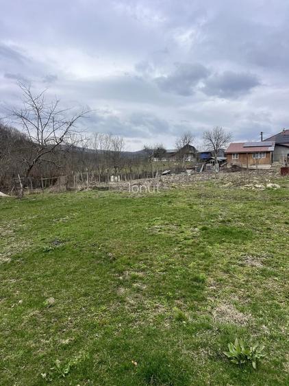 Casa cu teren de vanzare