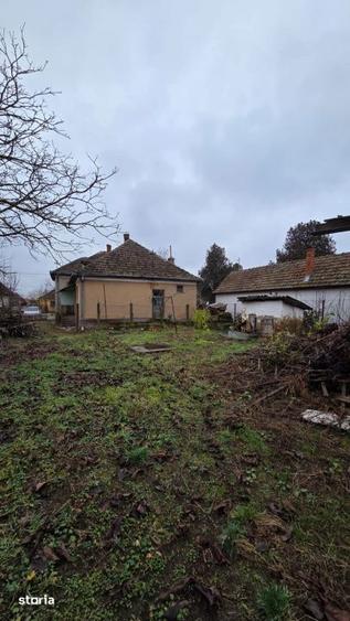 Casă cu 3 camere cu Teren 2500 Mp în Vetiș