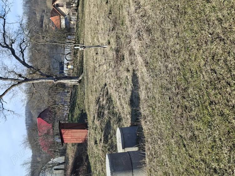 Vand teren intravilan intabulat, 5000 mp, 15 km de autostrada, curent trifazic, proiect casa - 2