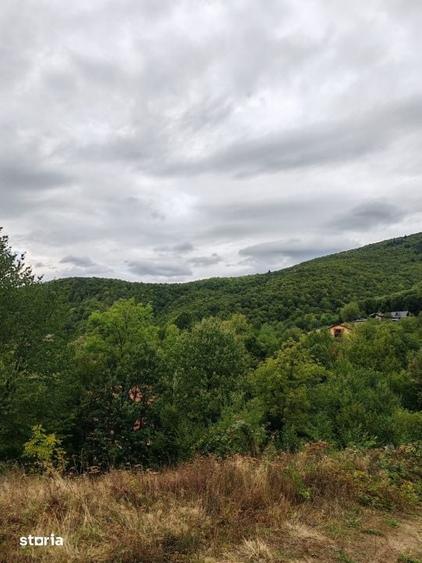 Teren de vanzare, 64 ari, zona Ulmoasa - 4