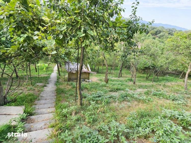 Teren de 2300 mp, în Grigorescu