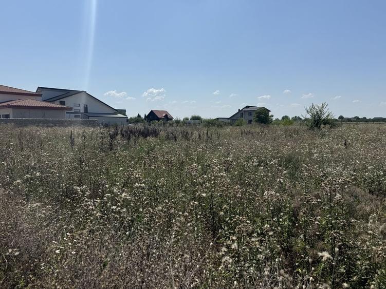 Teren Corbeanca Balotesti 545 mp Trei Lacuri - 6