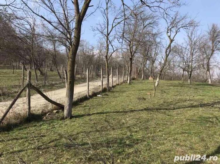 Teren de 1660 mp, în Teișani