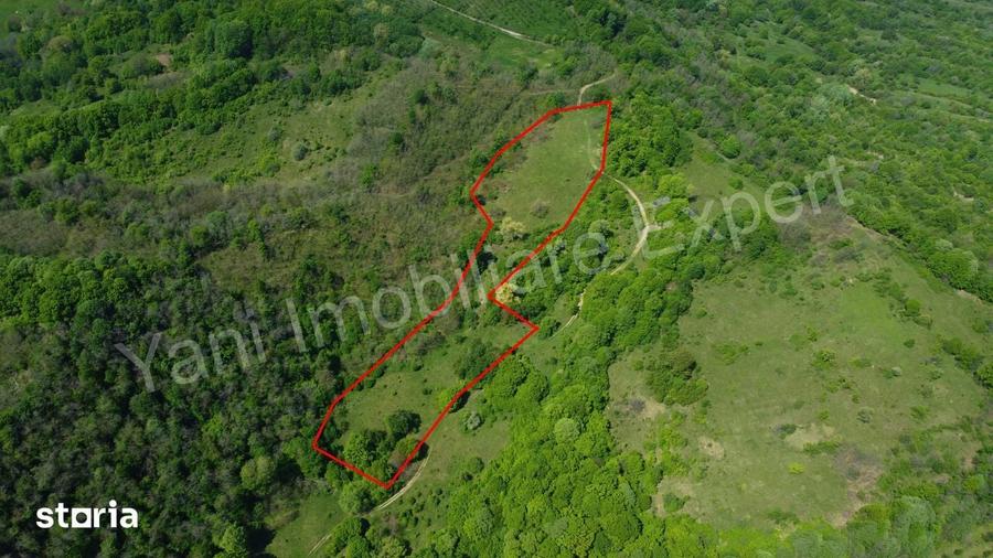 Teren de 19452 mp, în Central