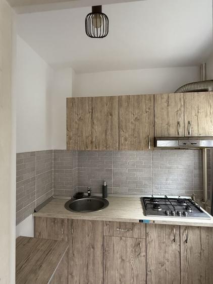 Apartament cu o camera de inchiriat in Arad - 4