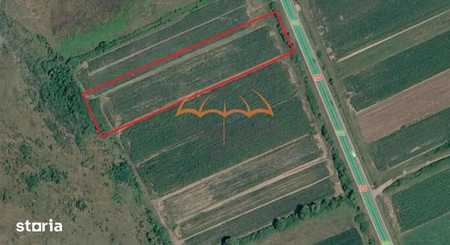 Teren de 5500 mp, în Satulung