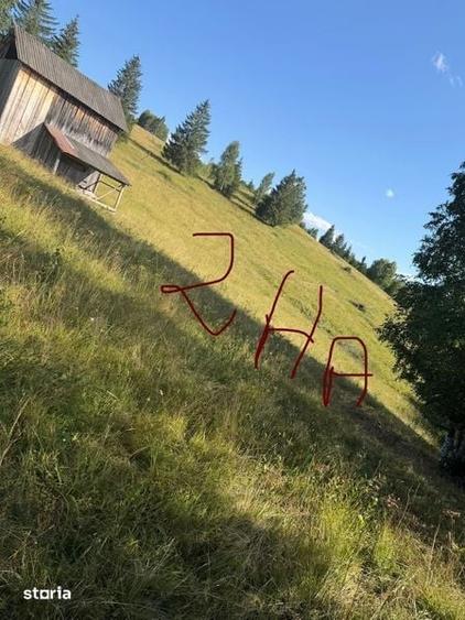 Teren de 2000 mp, în Vama