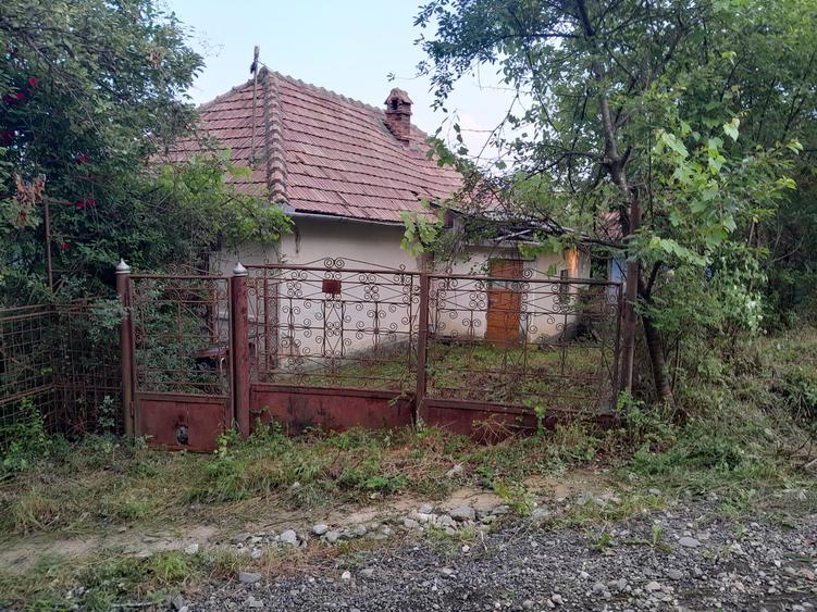 Casă individuală cu 5 camere cu Teren 9515 Mp în Șerbănești (Sălătrucel)