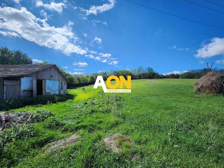Teren Construcții intravilan de 2965 mp, în Periferie