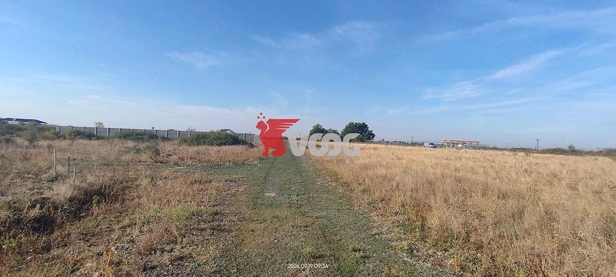 Teren de 900 mp, în Torontalului