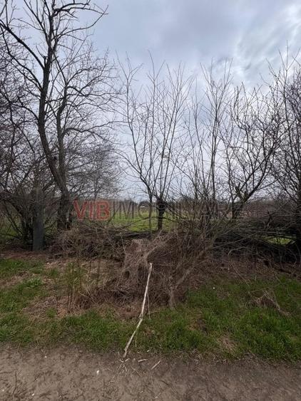 Teren intravilan de 423 mp, în Jilava