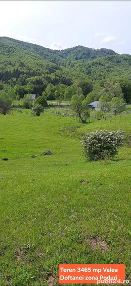 Teren de 3465 mp, în Trăisteni