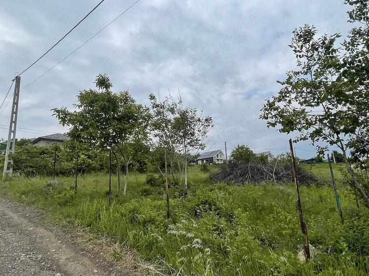 Teren de 529 mp, în Central