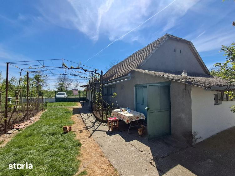 Valcani, proprietate cu casa taraneasca - 3