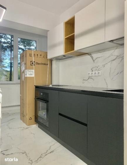Apartament 2 dormitoare Cornisa LUX [2 min UMFST] - 2