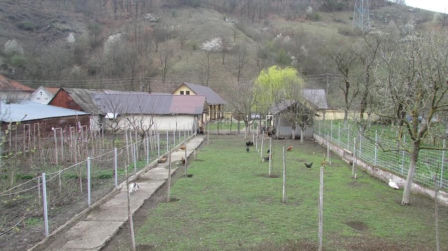 Casă cu 3 camere cu Teren 2900 Mp în Vețel