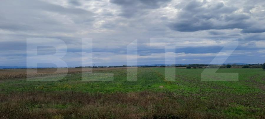 Teren agricol extravilan de 21750 mp, în Semicentral