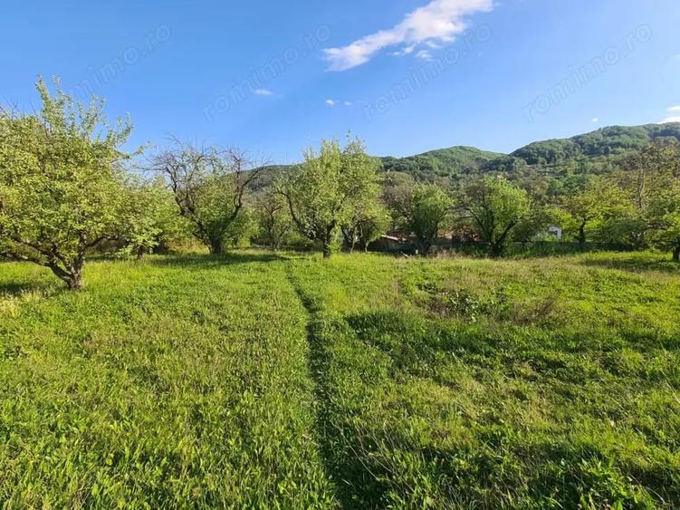 Teren de 950 mp, în Păușești