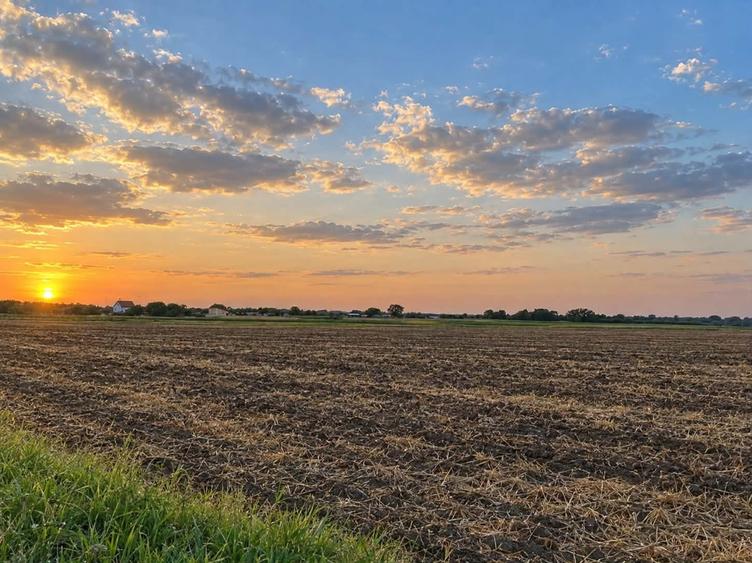 Teren agricol extravilan de 17738 mp, în Bujac