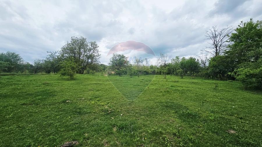 Teren Construcții intravilan de 5350 mp, în Dobreni