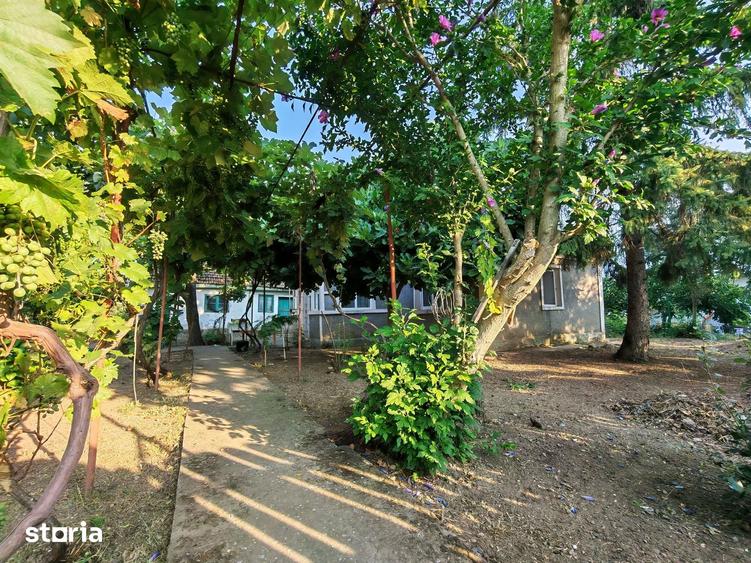Comision0%-AlmanImobiliare-OazaDeCurte-1100Mp-CasaRenovabila-Mangalia - 3