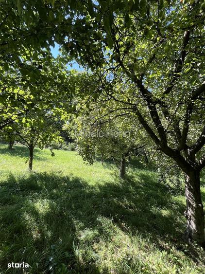 !!2 LOTURI TEREN INTRAVILAN!! 1500 si 1659 mp Comarnic, Vatra Satului