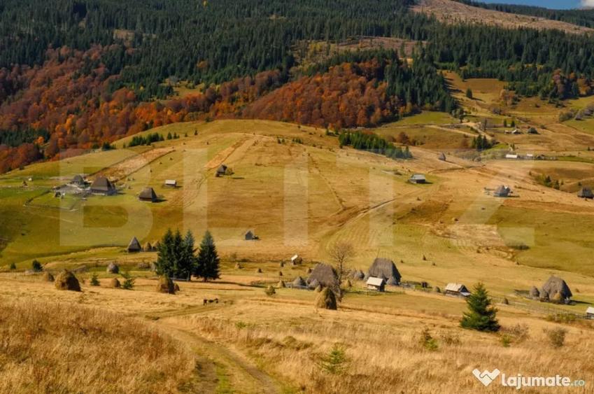 Teren în Ocoliș