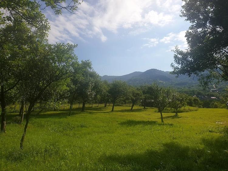 Teren de 2500 mp, în Corbi
