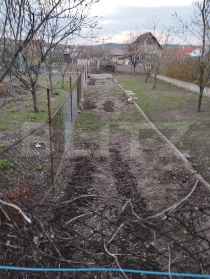 Apartament cu 3 camere decomandat, mobilat în Mihai Viteazu