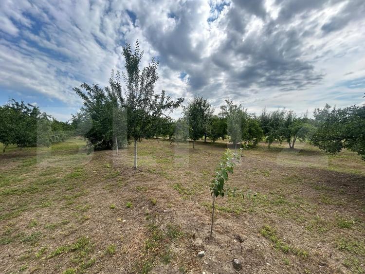 Teren Construcții intravilan de 6796 mp, în Crângurile de Jos